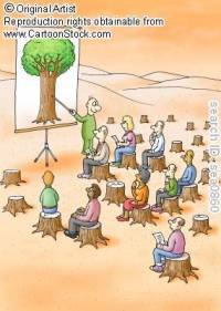 disturbio.jpg disturbio.jpg