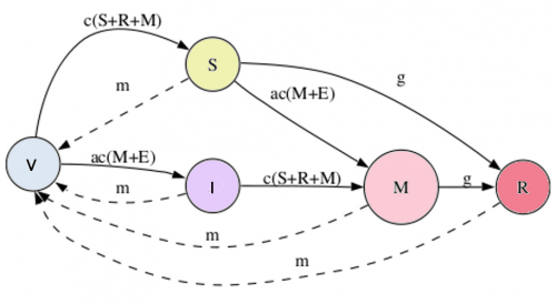 nicho_reg.png nicho_reg.png