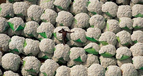 26_fha_rshow_terra5.jpg 26_fha_rshow_terra5.jpg