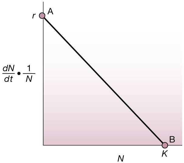 densodepgraf01.jpeg.jpg densodepgraf01.jpeg.jpg