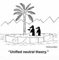 Todas espécies tem o mesmo nicho?