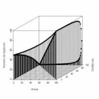 Gráfico 3D da relação espécies-área-distância