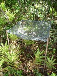 coletor.jpg coletor.jpg