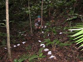 bolsas_no_campo_300.jpg bolsas_no_campo_300.jpg
