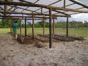 dsc03109.jpg dsc03109.jpg