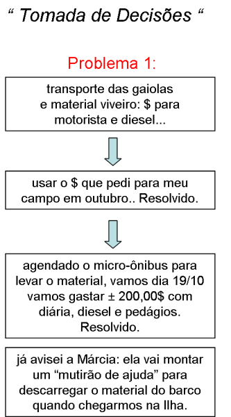 decisao1.png decisao1.png