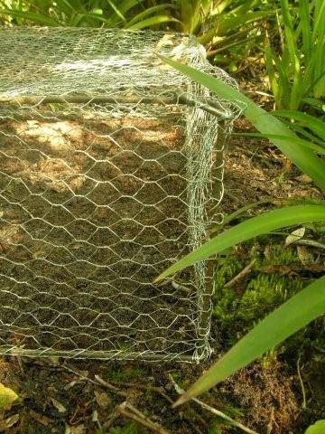 gaiola_lateral.jpg gaiola_lateral.jpg