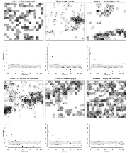 figpeic_nov09.jpg figpeic_nov09.jpg