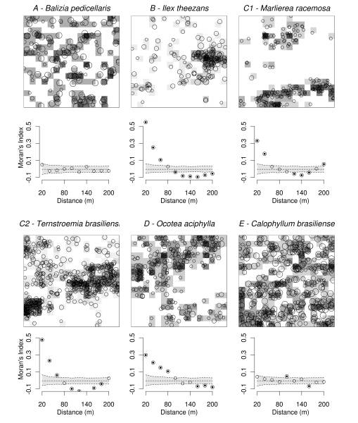figpeic30nov09.jpg figpeic30nov09.jpg