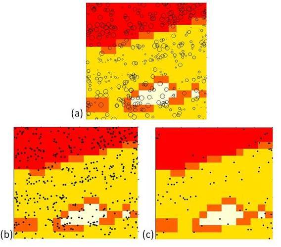 calosolos1.jpg calosolos1.jpg