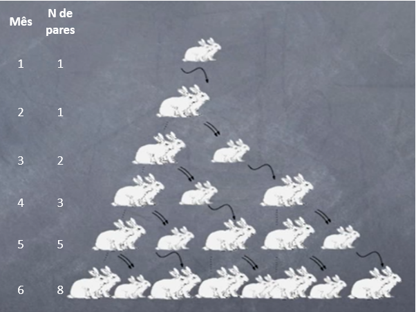 coelhofibonacci.png coelhofibonacci.png