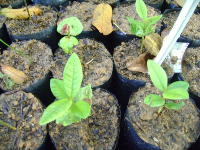 dsc03134.jpg dsc03134.jpg