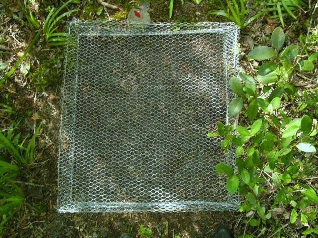 vista_de_cima.jpg vista_de_cima.jpg