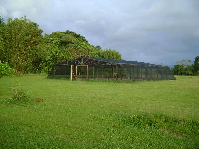 dsc03107.jpg dsc03107.jpg