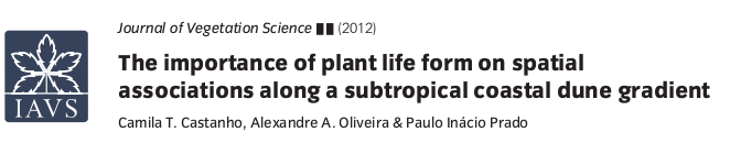 castanhojvs2012capa.png castanhojvs2012capa.png