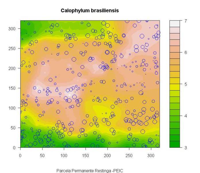 calocolor.jpg calocolor.jpg
