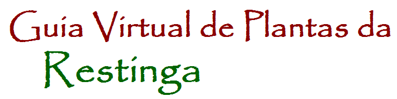 gvr_titulo.png gvr_titulo.png