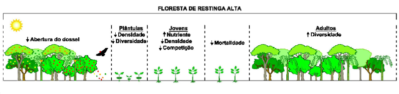 esqmodra.png esqmodra.png