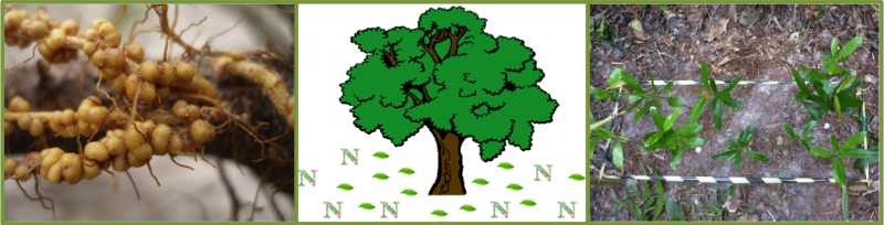 faixa_233_fotos_camilacastanho_renatamarques.png faixa_233_fotos_camilacastanho_renatamarques.png