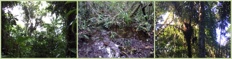 faixa_231_fotosadrianamartini_ricardobertoncello.png faixa_231_fotosadrianamartini_ricardobertoncello.png