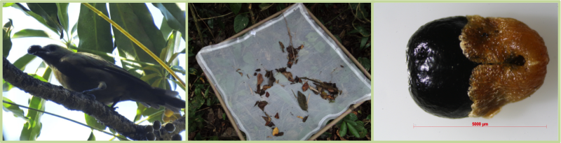 faixa_232_fotosleticiazimback_ricardobertoncello_raquelmonfrinato.png faixa_232_fotosleticiazimback_ricardobertoncello_raquelmonfrinato.png