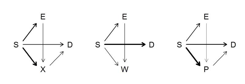 euc_xwp.jpeg euc_xwp.jpeg