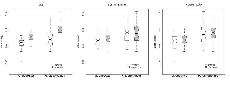 ic_dbm_x_fatores.jpeg ic_dbm_x_fatores.jpeg