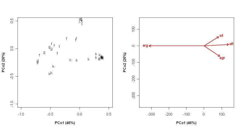 pcoa_text.solo_47com_4var.jpeg pcoa_text.solo_47com_4var.jpeg