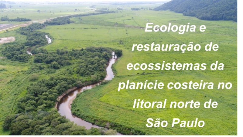 plantio_imagem_amzmartini.png plantio_imagem_amzmartini.png