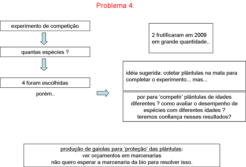 decisao4.png decisao4.png