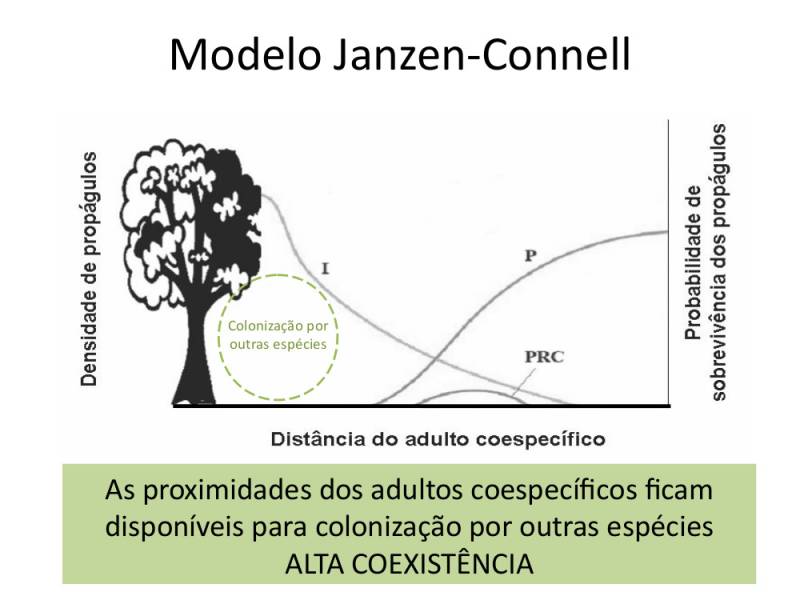 herbjanzcon.jpeg herbjanzcon.jpeg