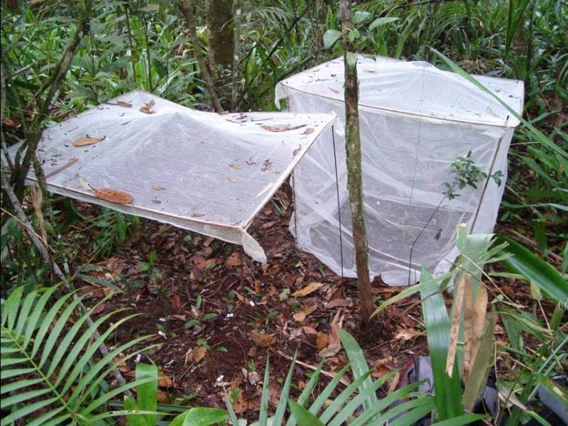 experimento2.jpg experimento2.jpg