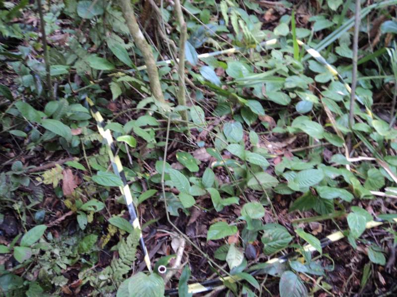 laranja.jpg laranja.jpg