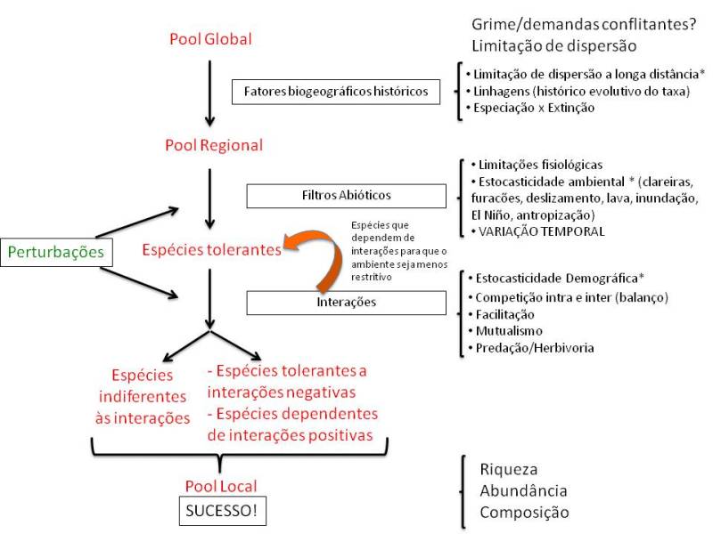 esquemalabtropcoexistenciadiversidadecomposicao2.jpg esquemalabtropcoexistenciadiversidadecomposicao2.jpg