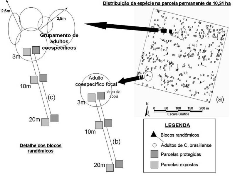 experimento.jpg experimento.jpg