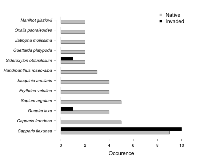 grapocc.png grapocc.png