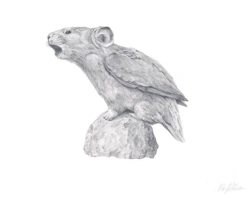 ratardal.jpg ratardal.jpg