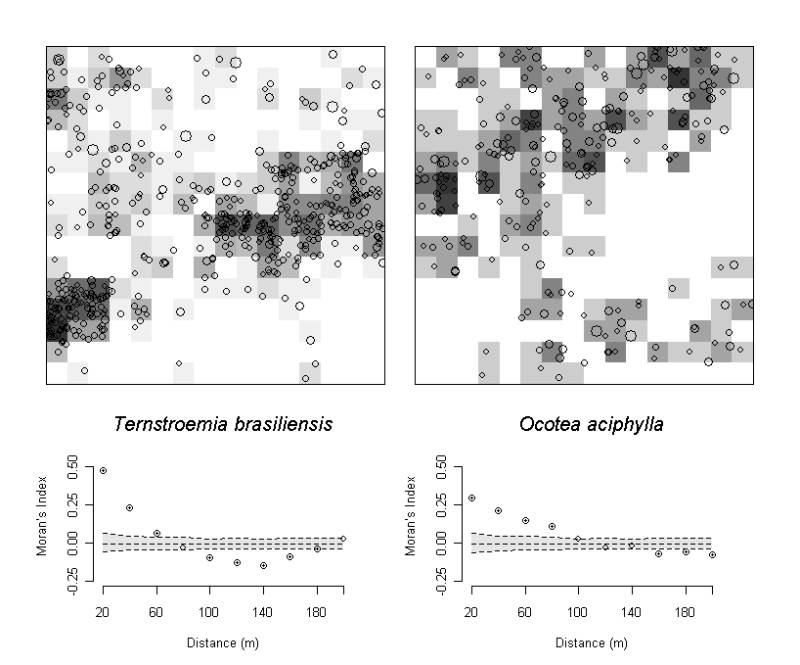 fig.dist_espb.jpg fig.dist_espb.jpg