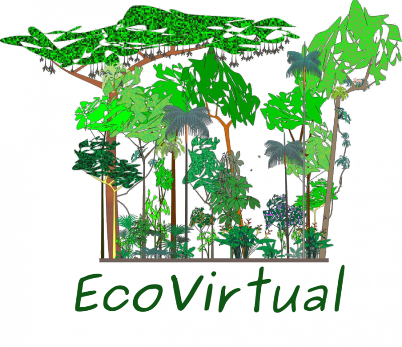 logo_ecovirtual.png logo_ecovirtual.png