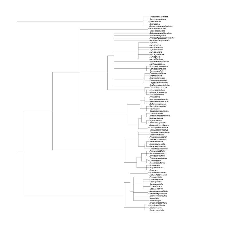 peic_gab.jpg peic_gab.jpg