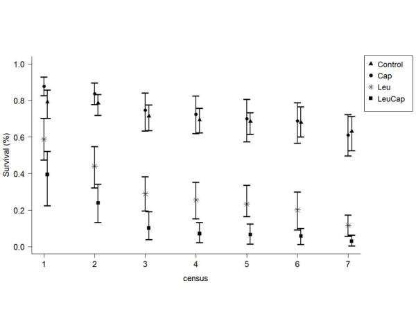 Bootstrap sobrevivência