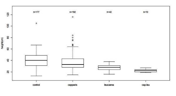 Boxplot altura mudas em campo