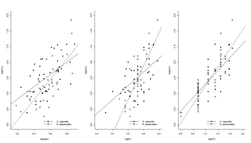 Relações entre massa seca e diâmetro, altura e número de folhas