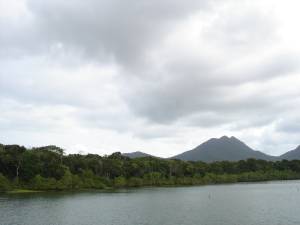 Floresta Alta de Restinga