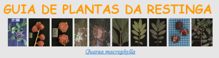  Guia Plantas