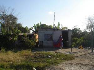 Ocupação irregular em floresta de restinga baixa no município de Cananéia