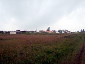 Área de expansão urbana sobre planície litorânea no município de Ilha Comprida.