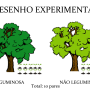 desenho_experimental_facilitacao_guanandi_ar_renatamarques.png