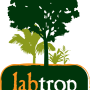 logolabtrop.png